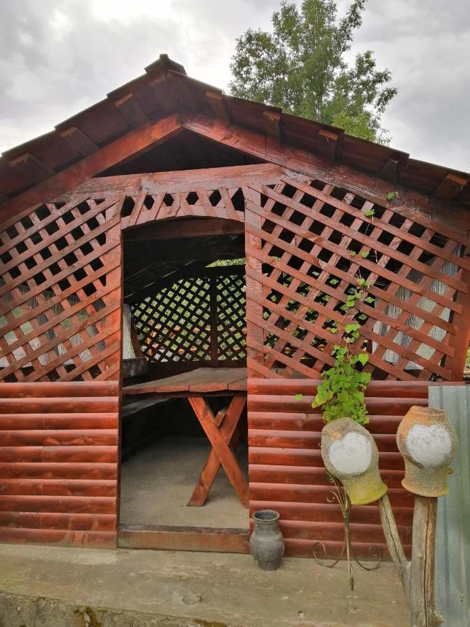 У Катерини Villa Dvozhets Екстериор снимка